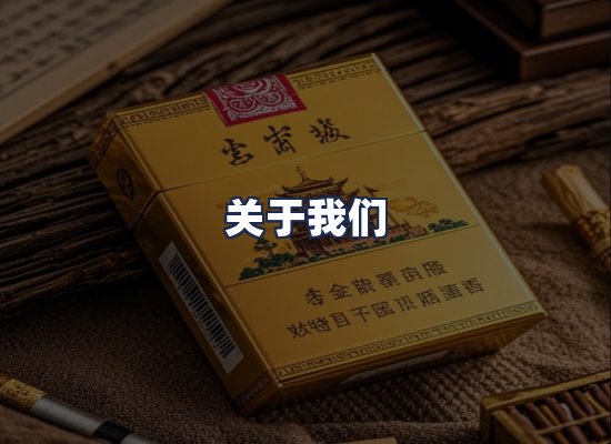 关于我们